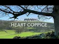 South Dorset Ridgeway Pilgrimage - Heart Coppice
