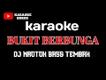 Download Lagu BUKIT BERBUNGA KARAOKE DJ NROTOK BASS BEDIL