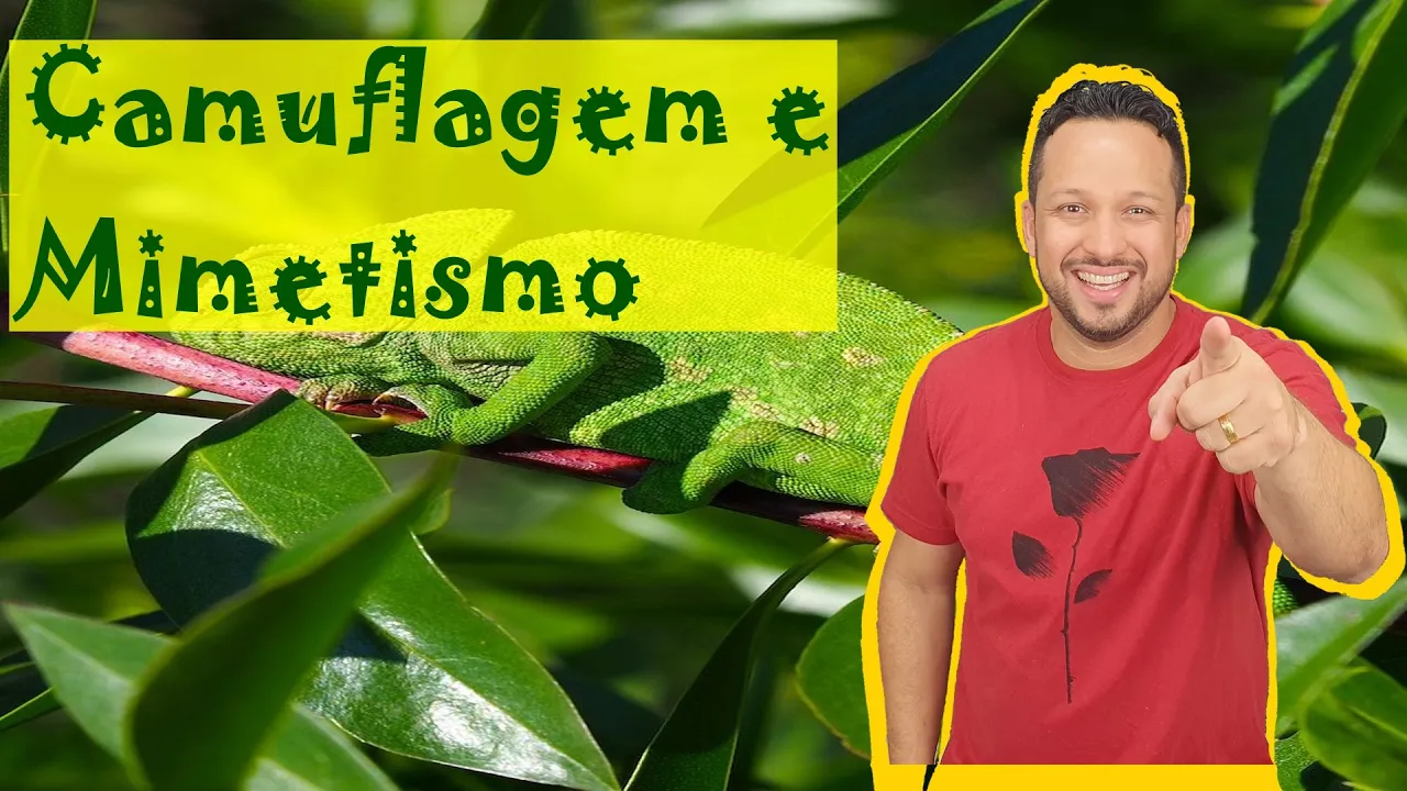 Camuflagem e Mimetismo - Conceito, Tipos e Exemplos - Conceitos Ecológicos - Ecologia