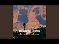 Download Lagu Beautiful Things (Acoustic)