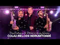 Download Lagu Puiu Codreanu \u0026 Petrică si Armin Nicoară - Colaj melodii nemuritoare