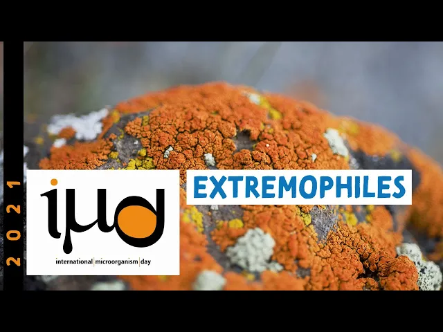 Extremophiles