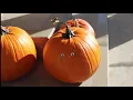 Googly Eyes- Unofficial Video