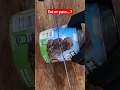 Ear or Pass benjerrys brownies