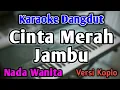 Download Lagu CINTA MERAH JAMBU - KARAOKE || NADA WANITA CEWEK || Versi Koplo || CINTA LAHIR BATIN