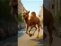 Download Lagu The History Of frigo camelo 🐫 #brainrot #meme #history #frigocamelo  #italianbrainrot