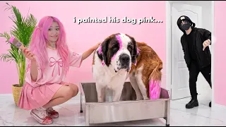 i turned my best friends dog pink as a prank…