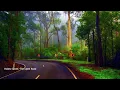 Hollow Coves  - The Open Road