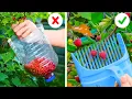 Download Lagu 🌿🌼 KIAT JENIUS BERKEBUN YANG HARUS DIKETAHUI SEMUA ORANG! 🌸 Tips Mudah Menanam Tanaman 🪴