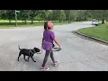 Walking at Calumet Beach Park
