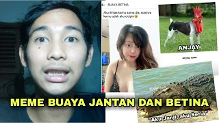 Download MEME SUARA BUAYA DARAT JANTAN DAN BETINA | ASUPAN GIZI SEHAT MP3