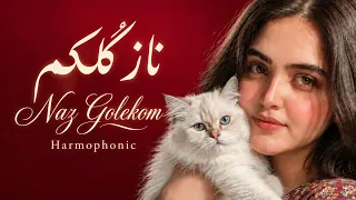                                                    ناز گلکم   آهنگ شاد یزدی و الکترونیک دنس دندنها