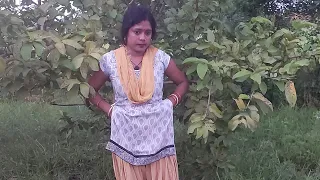 cskentertainment
