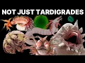 Download Lagu Every Extremophile Explained