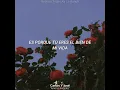 Carlos y José - Amores Fingidos (Letra)