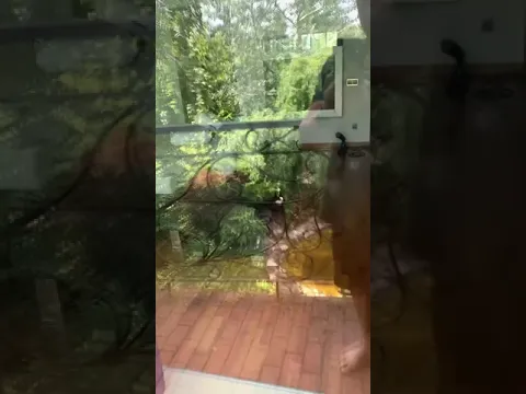 №9 Москітна сітка для дверей