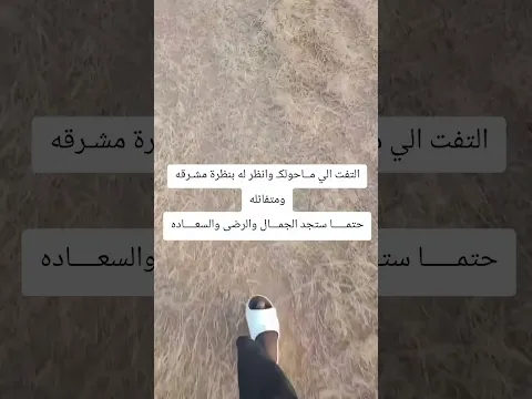 ١٩ أغسطس ٢٠٢٦