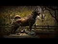 Balto Documentary 2011