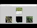 Ieee projects on digital image processing using matlab