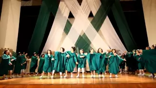 فيديو كليب تستاهل بلادي بدون دف HD 