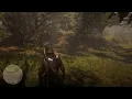 Red Dead Redemption 2 When The Cat s Away The Mice Will Play - Old Harry Fen Forest Lemoyne