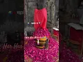 Download Lagu Koi Laya phool ki Mala...