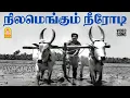 Download Lagu Nilam Engum - HD Video Song | நிலமெங்கும் நீரோடி | Sontham | Muthuraman | KR Vijaya | MSV