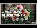 Download Lagu 3 Must-Have plukbloemen voor jouw tuin! 🌺 I Dahlia, korenbloem \u0026 leeuwenbekjes | Angelo Dorny