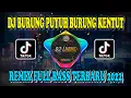 Download Lagu DJ BURUNG PUYUH BURUNG KENTUT DIMAKAN BIAWAK REMIX FULL BASS TERBARU 2022 VIRAL TIKTOK