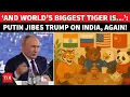 Download Lagu Putin Settles ‘Bear, Tiger Vs Eagle’ Debate Amid Trump's Tariffs On India \u0026 China | Watch