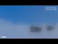 1 hour of shelter by nectry & antent — but it's a + slowed version.