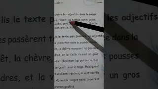 حل تمرين رقم 8 صفحة 37 من كتاب الانشطة السنة الرابعة ابتدائي لغة فرنسية 