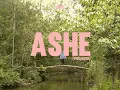 Download Lagu MSK - Ashe (Visualizer)