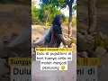 Download Lagu artis jatuh miskin,kini jadi pemulung #shorts #artist #trending #viral