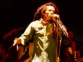 Download Lagu Bob Marley - Bad Card Live 1980
