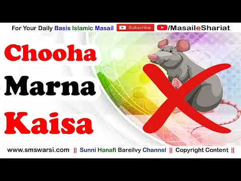 Chooha Marna Kaisa | Kya Choohe (Rat) Ko Bewaja Mar Sakte Hai | Islam About Rat Killing