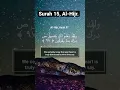 Download Lagu Worship your Lord until the inevitable comes to you ||  Surah Al-Hijr || 97-99. Tareq Mohammad.