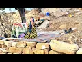 Download Lagu Amazing mother and her baby: building a beautiful platform with large rocks