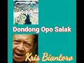 Download Lagu Dondong Opo Salak.  (Kris Biantoro)