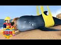 Download Lagu De walvis redden! | Brandweerman Sam | Kinderfilms