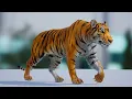 Realistic Tiger for FAB
