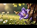 Download Lagu The Flower's Hold