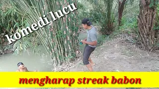 Download Komedi singkat,,MENGHARAP STREAK BABON MP3