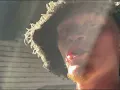 April Yung & Mido RSA - Kuse Summer