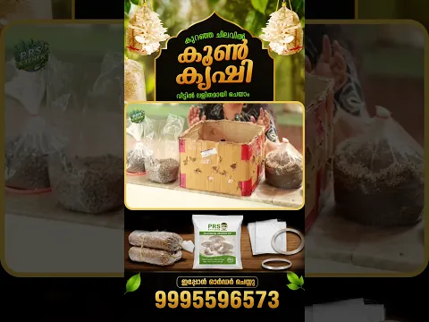 കുറഞ്ഞ ചിലവിൽ വീട്ടിൽ കൂൺ കൃഷി ചെയ്യാം | Easy Mushroom Farming at Home