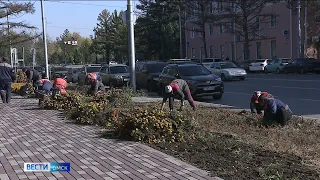 В Омске начали готовить к зиме городские клумбы и цветники
