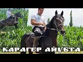 Download Lagu Жалал-Абаддын аты АЙУБДАН КАРАГЕР