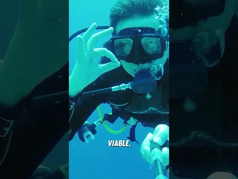 UNE CROISIÈRE DE LUXE EXTRÊME !! 🛳️