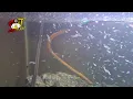 30-Gallon Sea-Monkey Aquarium It s HUGE