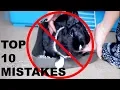 Download Lagu TOP 10 MISTAKES RABBIT OWNERS MAKE